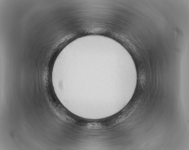 X0000110860591200907301353