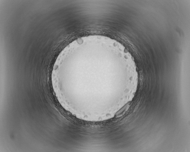 X0000110860593200907301353