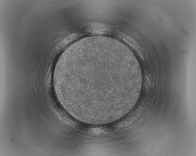 X0000110860596200907301353