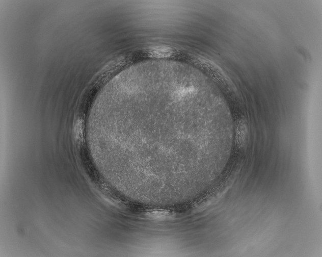 X0000110860598200907301353