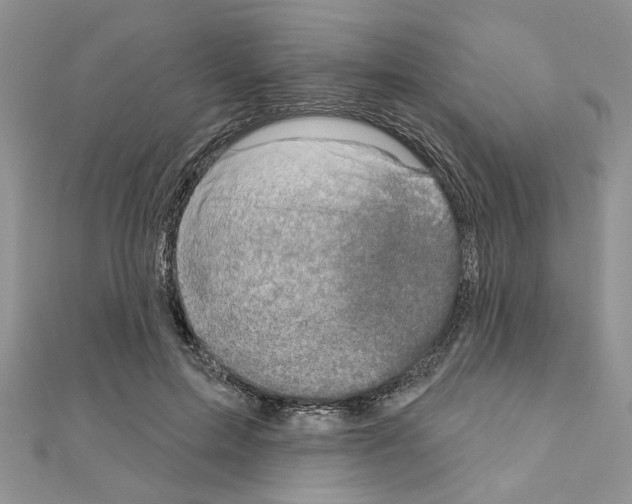 X0000110860599200907301353