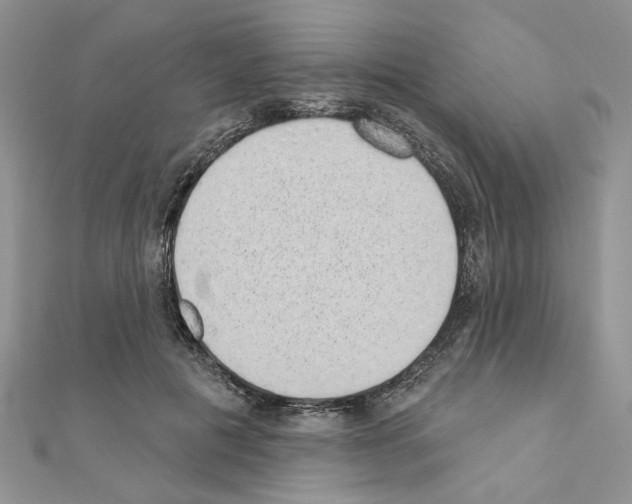 X0000110860601200907301353