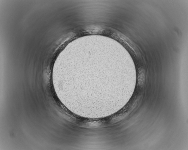 X0000110860604200907301353