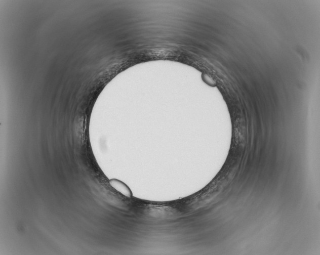 X0000110860605200907301353