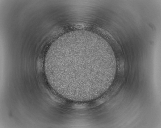 X0000110860606200907301353