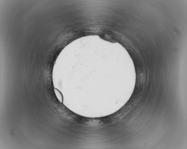 X0000110860609200907301353