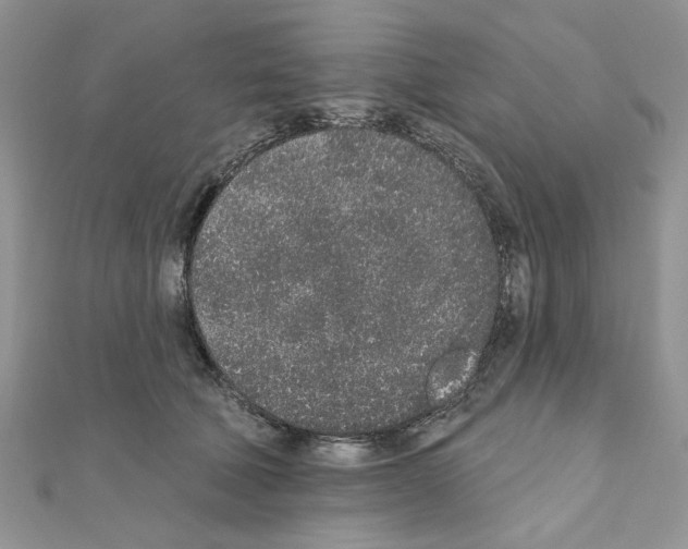 X0000110860610200907301353