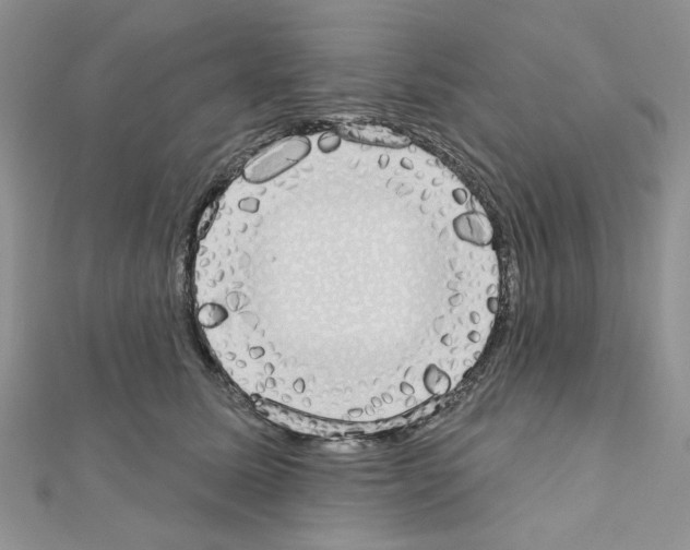 X0000110860611200907301353