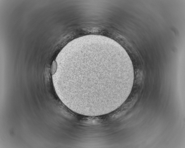 X0000110860612200907301353