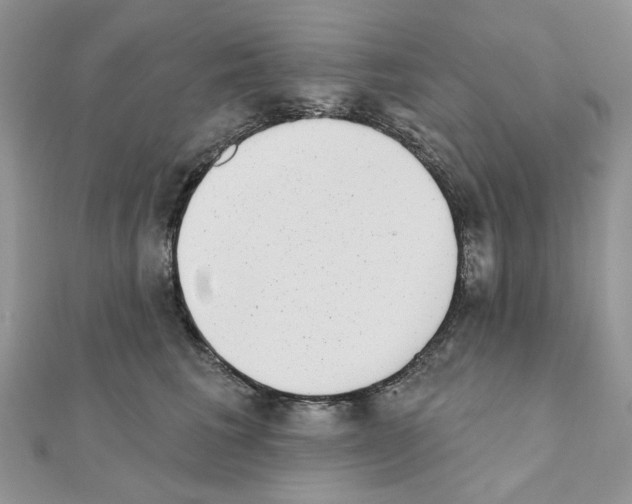 X0000110860613200907301353
