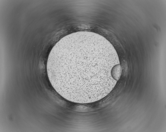 X0000110860614200907301353