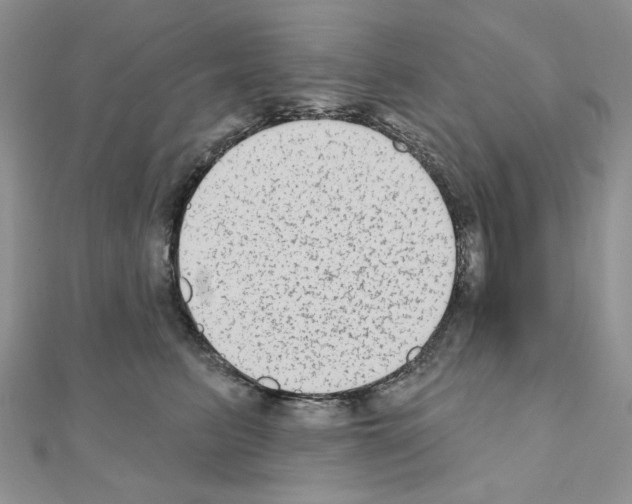 X0000110860615200907301353