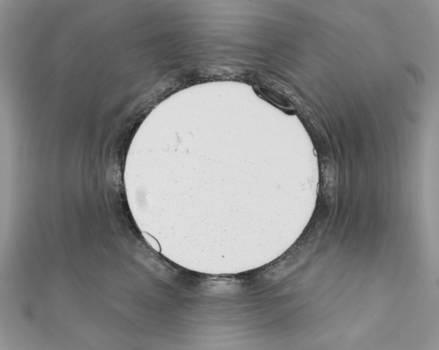X0000110860617200907301353