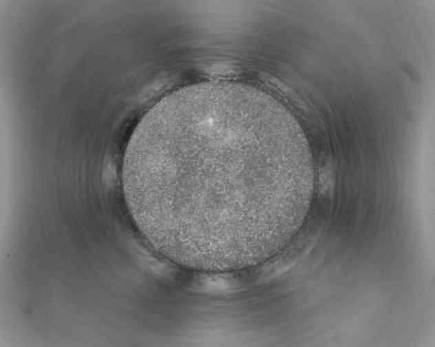 X0000110860618200907301353