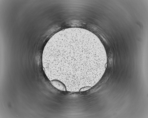 X0000110860620200907301353
