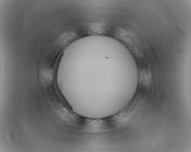 X0000110860621200907301353