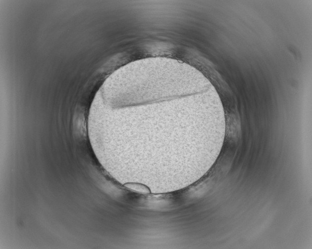 X0000110860622200907301353