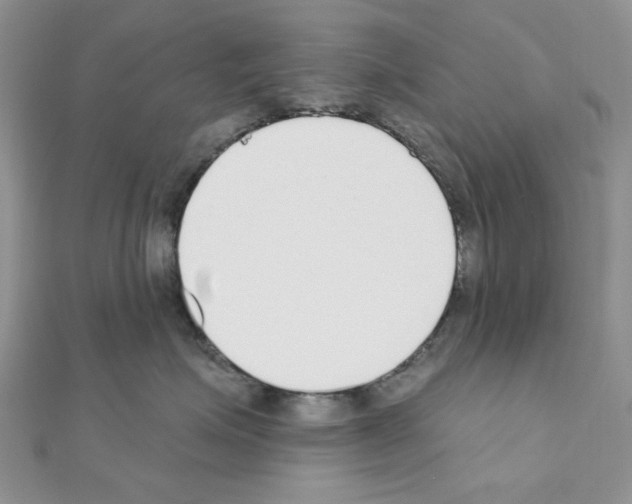 X0000110860623200907301353