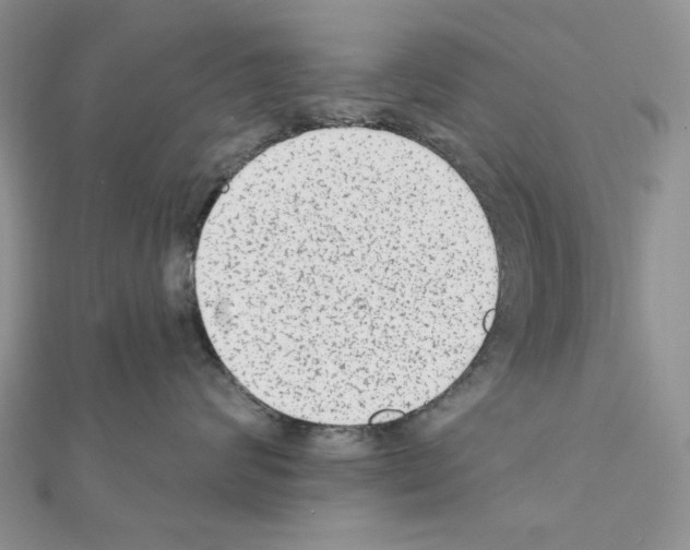 X0000110860624200907301353