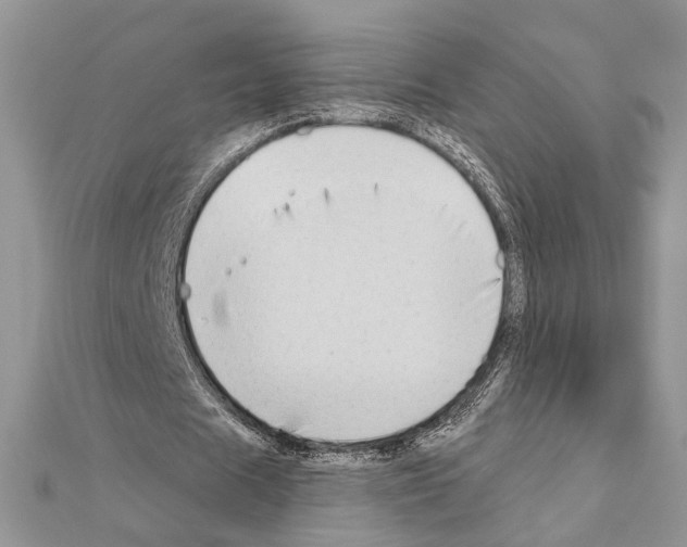 X0000110860625200907301352