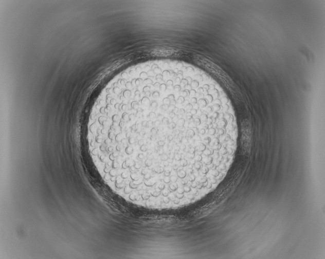 X0000110860626200907301352