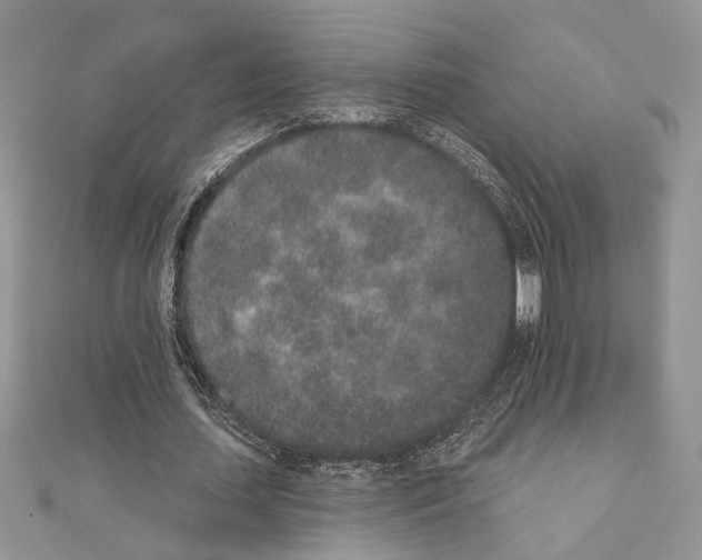 X0000110860627200907301352