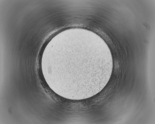X0000110860628200907301352