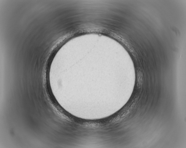 X0000110860629200907301352