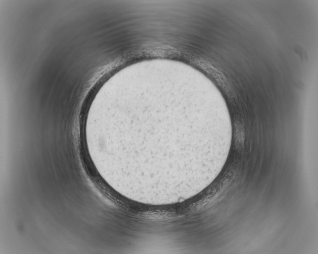 X0000110860630200907301352