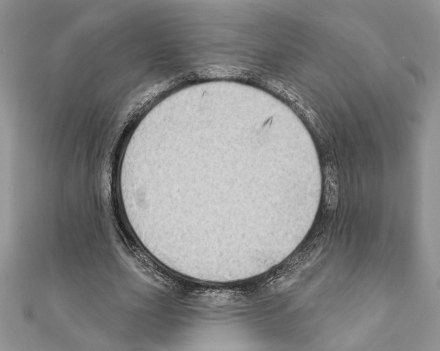X0000110860631200907301352