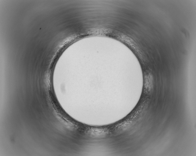 X0000110860632200907301352