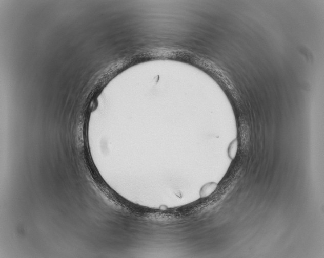X0000110860633200907301352