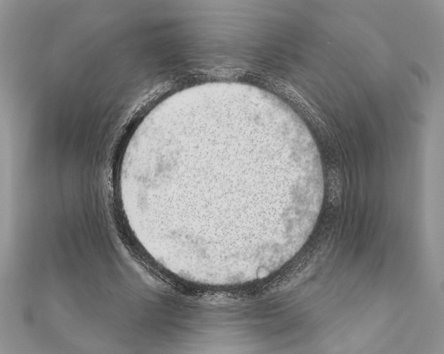 X0000110860634200907301352
