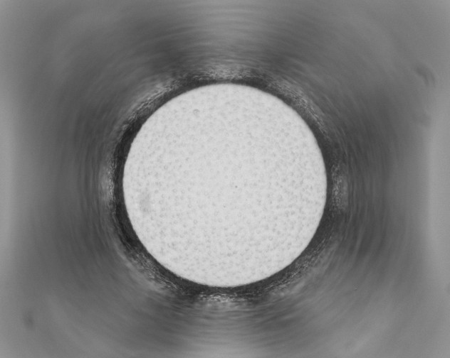 X0000110860635200907301352