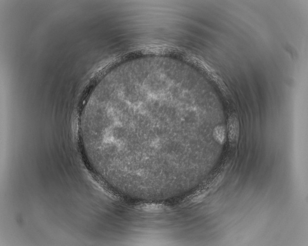 X0000110860637200907301352