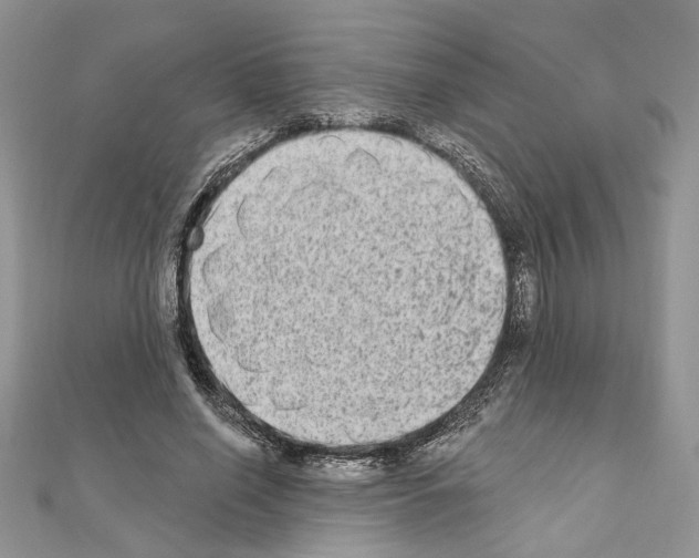 X0000110860638200907301352