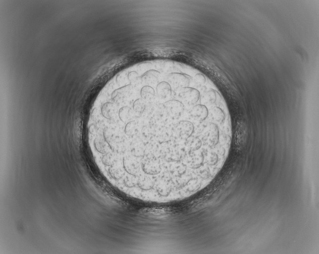 X0000110860639200907301352