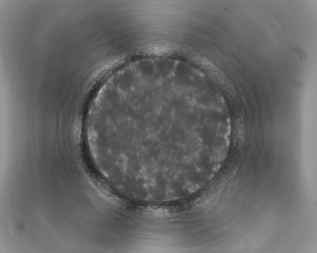 X0000110860640200907301352