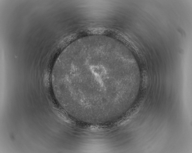 X0000110860641200907301353