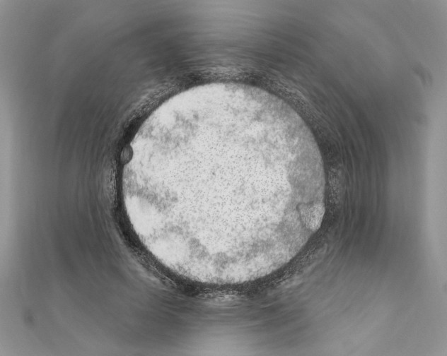 X0000110860642200907301353