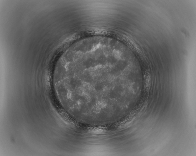X0000110860643200907301353