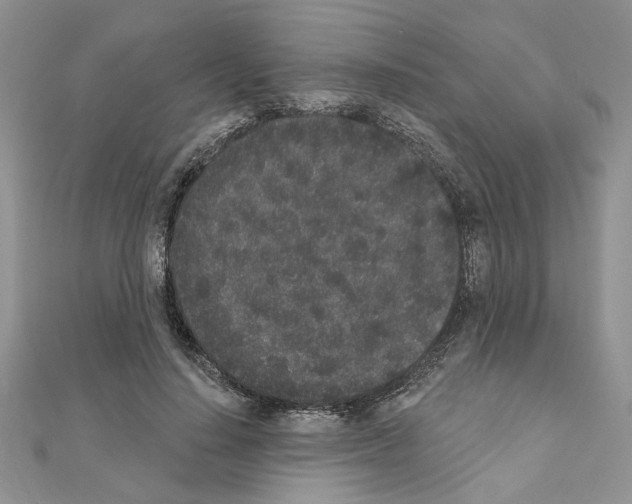 X0000110860644200907301353