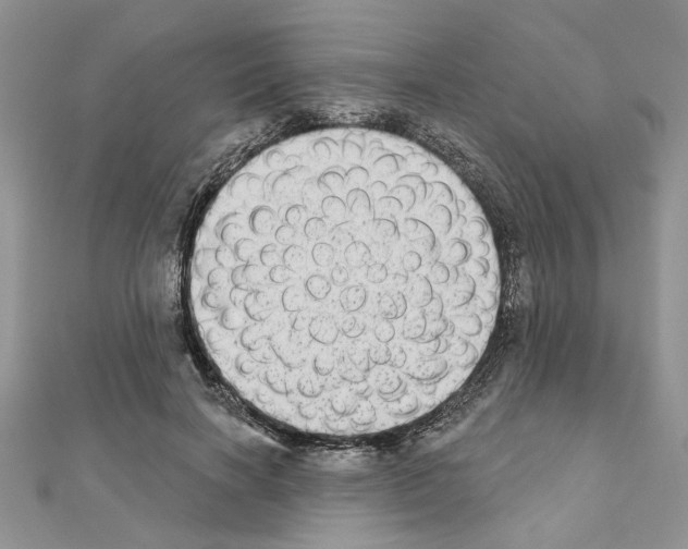 X0000110860646200907301353