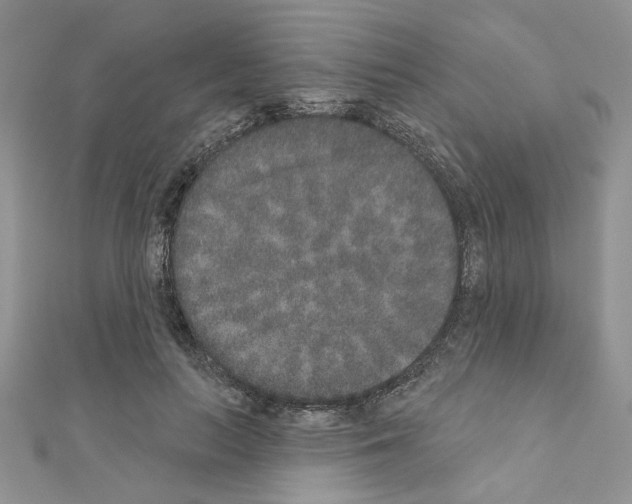 X0000110860647200907301353