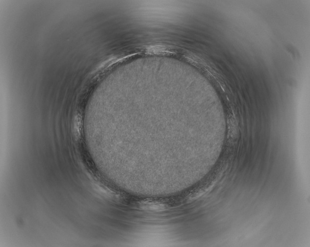 X0000110860648200907301353