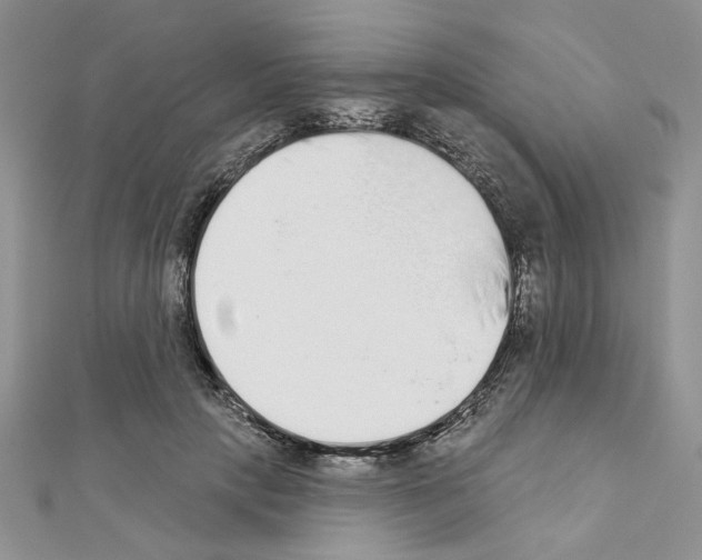 X0000110860649200907301353