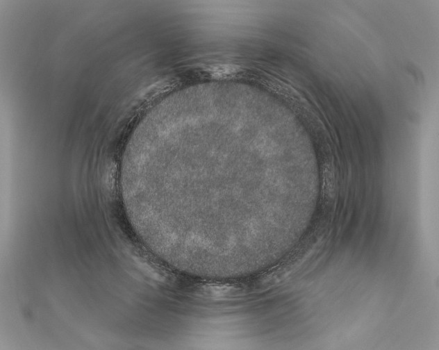 X0000110860650200907301353