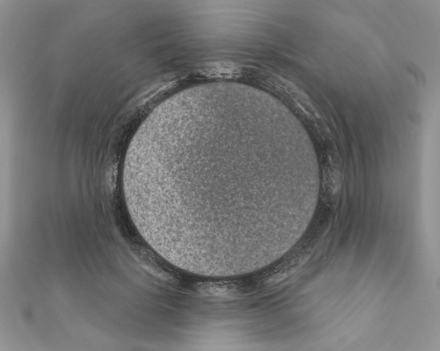X0000110860652200907301353