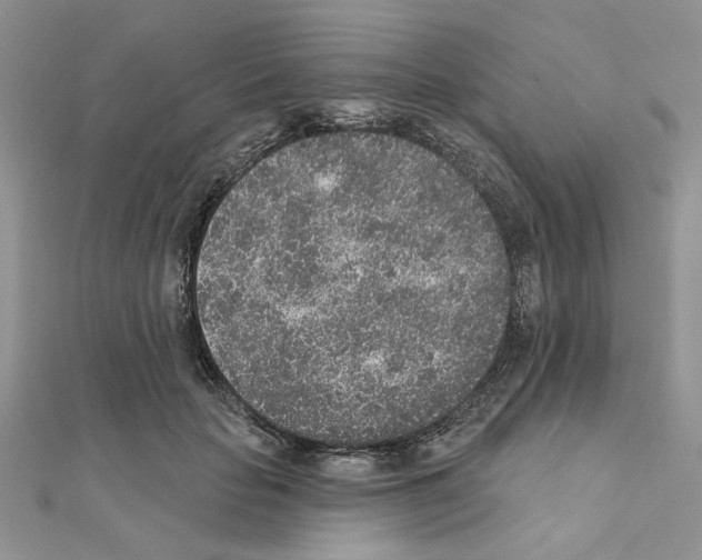 X0000110860653200907301353