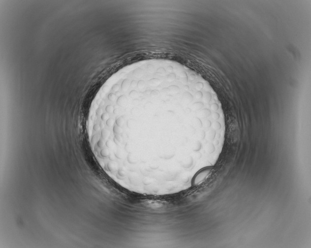 X0000110860654200907301353
